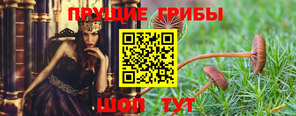 Псилоцибиновые грибы мицелий  Вход с VPN  Ижевск 